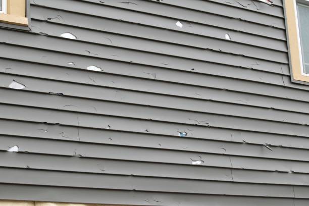 Professional Siding Installation in Morton, TX